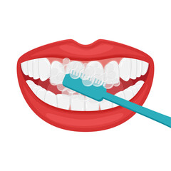 Smiling open mouth. Brushing your teeth with a toothbrush. Beautiful even white teeth and plump female lips. Oral hygiene and care. Healthy lifestyle. Isolated vector illustration in flat style.