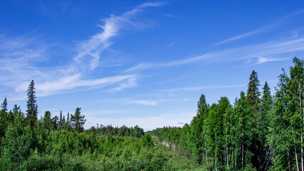 View of the green forest and blue sky with clouds. Nature of the taiga
