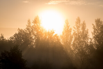 rays of the sun breaking through the fog in over the trees.