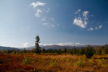 Obraz premium Krajobraz jesienny w górach