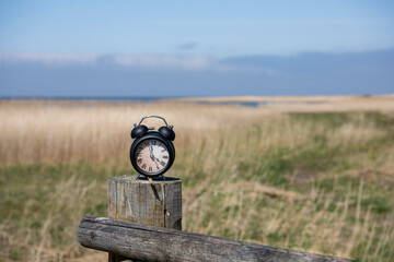 Naklejka premium Retro alarm clock in green forest. Abstract photo of time.