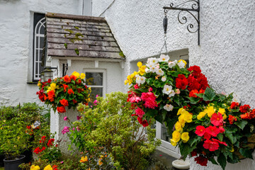 Colorful flowers near house entry
