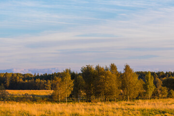 Fototapeta premium Autumn countryside lanscape with trees in the field
