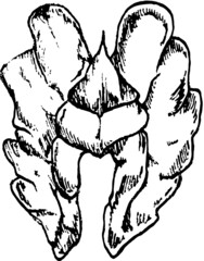 Christmas theme winter vector 