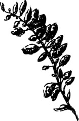 Christmas theme winter vector 