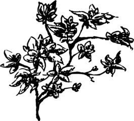 Christmas theme winter vector 