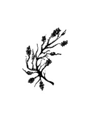 Christmas theme winter vector 