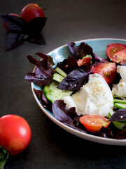 plate with poached egg, fresh tomatoes, cucumber, purple lettuce leaves on a dark background