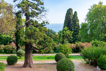 Fototapeta na wymiar Landscape of Vorontsov palace park in southern Crimea