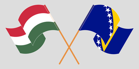 Crossed and waving flags of Hungary and Bosnia and Herzegovina