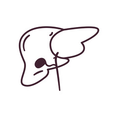 liver line style icon vector design