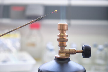 Close up of inoculation loop being sterilized in flame of gas bunsen burner in a laboratory....