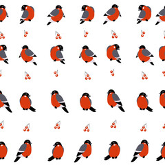 Pattern Red Xmas bird. Bullfinch illustration.