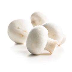 Obraz na płótnie Canvas Fresh white champignon mushrooms