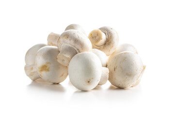 Fresh white champignon mushrooms