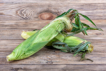 Unpeeled ears of corn on a wooden table.