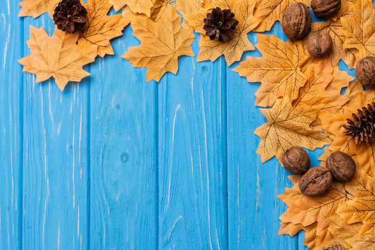 Top view of autumnal foliage with nuts and cones on blue wooden background