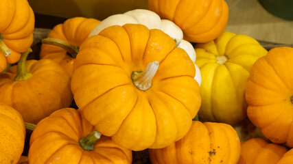 pumpkins on a farm