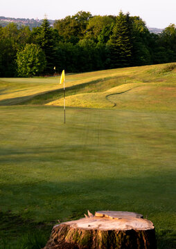 Flagsticks, Lochwinnoch Golf Course, Renfrewshire, Scotland, UK