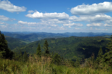 Fototapeta na wymiar Summer carpathian mountain landscape