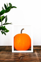 Pumpkin in a frame on the table Halloween mood.