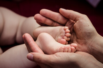 Baby feet in hands of parent