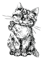 cute beautiful kitten, hand drawn, black and white hatched isolated on white background, realistic kitten