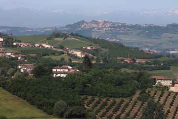 Obraz premium Jawdropping vineyards spread over the lovely Langhe hills in Piedmont. 