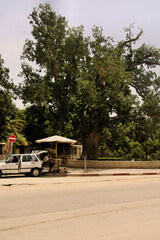 A view of the old City of Jericho in Israel