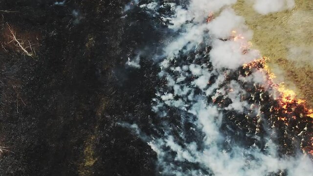 Air pollution caused by wildfires, clouds of smoke above the burning field, aerial footage. uncontrolled wildland fire. drone flight above rural fire. environment, climate change, earth. forest fires