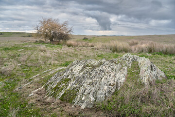 Alentejo Plains, Castro Verde