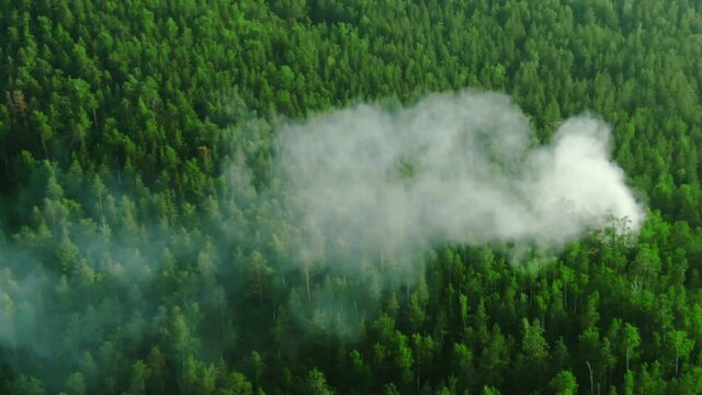 forest fire begins aerial view. trees burning in forest fire. wildfire reasons, arson, thunderstorm. green forest with smoke rising, drone video