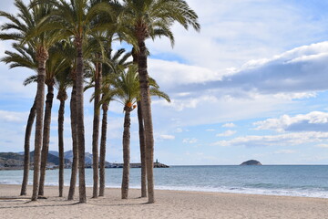 Olas del mar mediterráneo con palmeras y horizonte