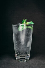 mojito cocktail with mint