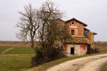 Fototapeta na wymiar Old abandoned house in the middle of the Venetian lagoon. The white gravel road runs near the house which is hidden behind a tree.