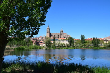Catedral de Salamanca desde el otro lado del río Tormes con reflejo en el agua