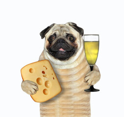 A pug dog is holding a big piece of cheese with holes and a glass of wine. White background....