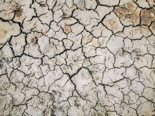 Dehydrated and cracked earth surface by the drought