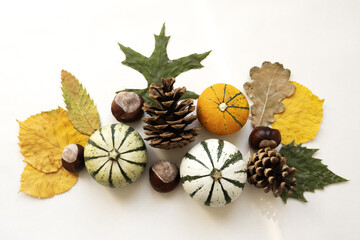 Autumn floral arrangement, composition with decorative pumpkins and yellow leaves, chestnut, pine cones template for Thanksgiving and fall holidays, conceptual flat lay