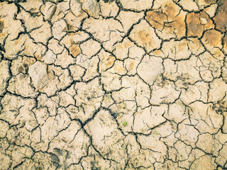 Dehydrated and cracked earth surface by the drought