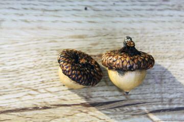 Two acorns on a wooden table.