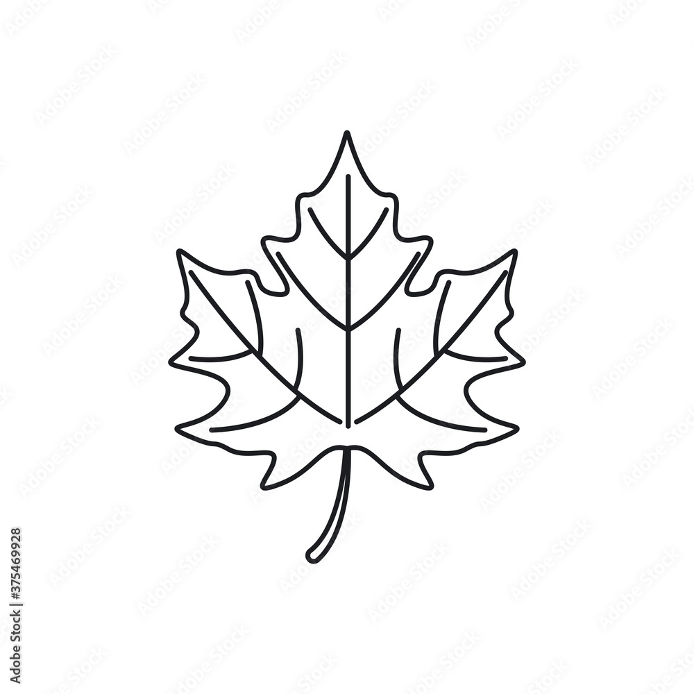 Canvas Prints maple leave graphich design vector