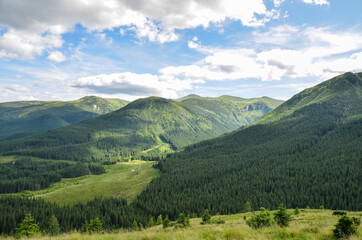 View of picturesque landscape with mountains slopes covered in pine forest. Ukraine nature tourism. Holidays in the mountains. Carpathians