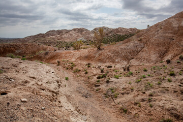Clay-chalk hills of Kazakhstan with sparse vegetation.