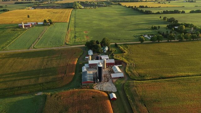 Establishing shot of farmhouse. Aerial view of farm, red barns, corn field in September. Harvest season. Rural landscape, american countryside. Sunny morning