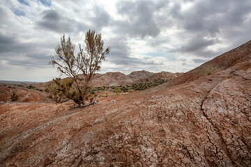 Clay-chalk hills of Kazakhstan with sparse vegetation.