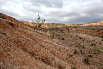 Clay-chalk hills of Kazakhstan with sparse vegetation.