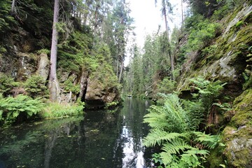 Sächsische Schweiz
