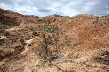 Clay-chalk hills of Kazakhstan with sparse vegetation.