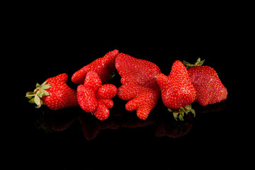 Ugly organic home grown strawberry on black background with copy space. Trendy ugly food. Strange...